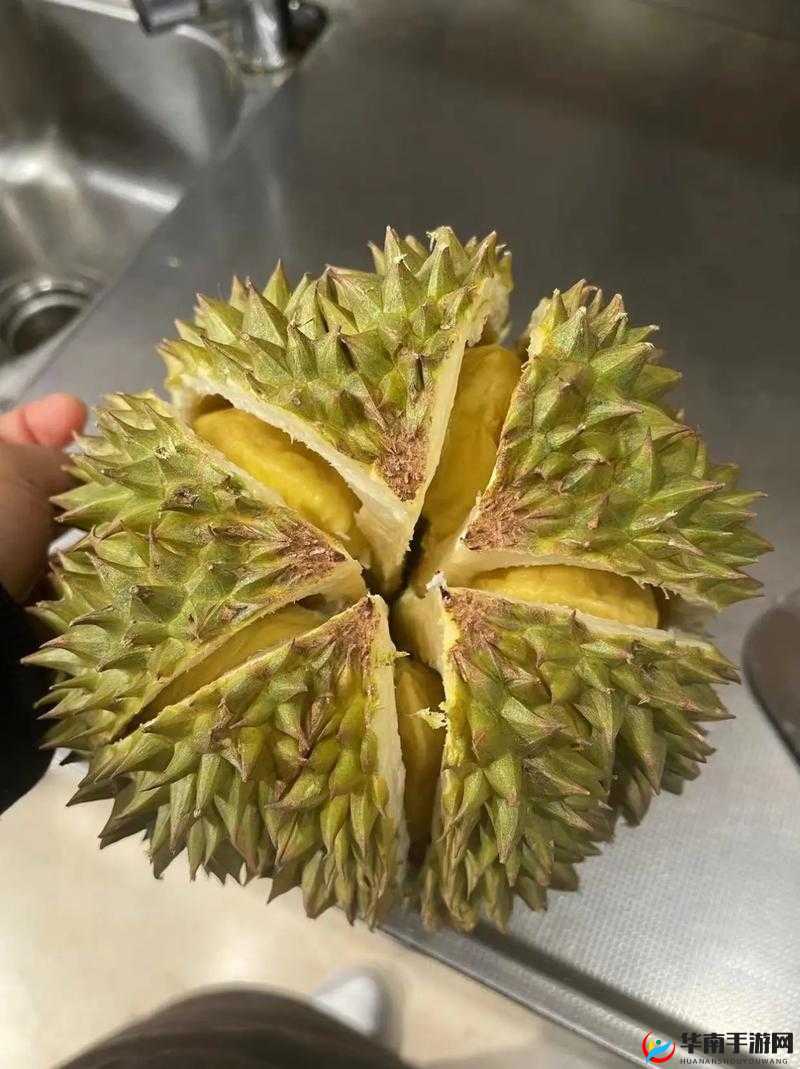 豆奶富二代榴莲草莓丝瓜:美味水果与独特人物的奇妙组合