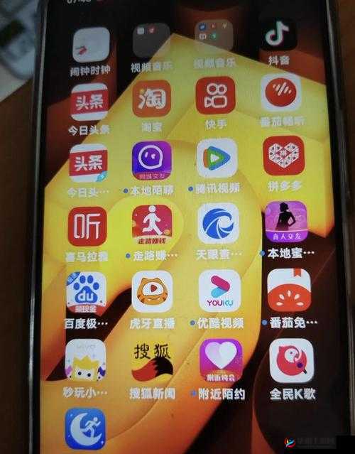 黄金网站 app 大全 oppo：提供丰富多样的应用资源
