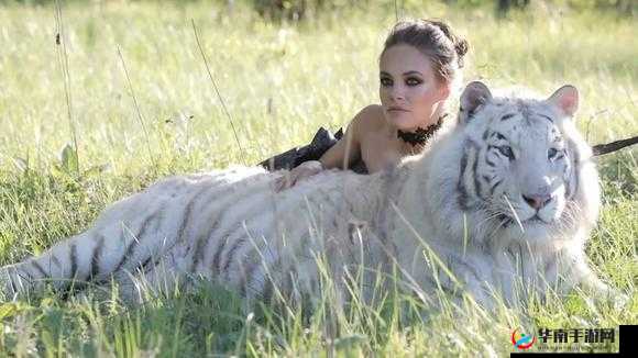 爆操白虎之震撼刺激的狂野演绎