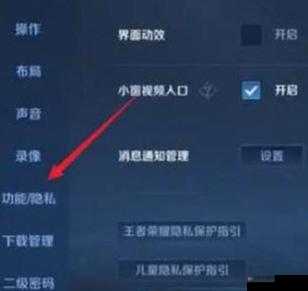 王者荣耀隐身功能上线时间和设置方法介绍