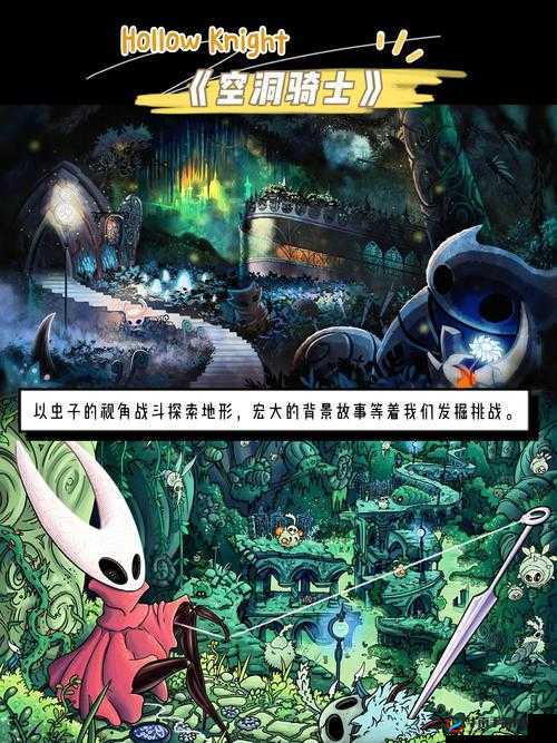 给我扣扣里面的：探索其中的神秘与精彩世界