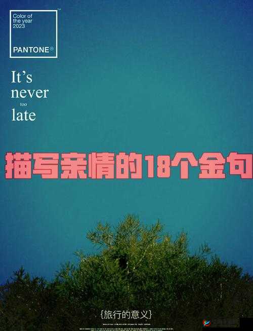 近相亲祖母六十网站：探寻别样亲情的温暖角落