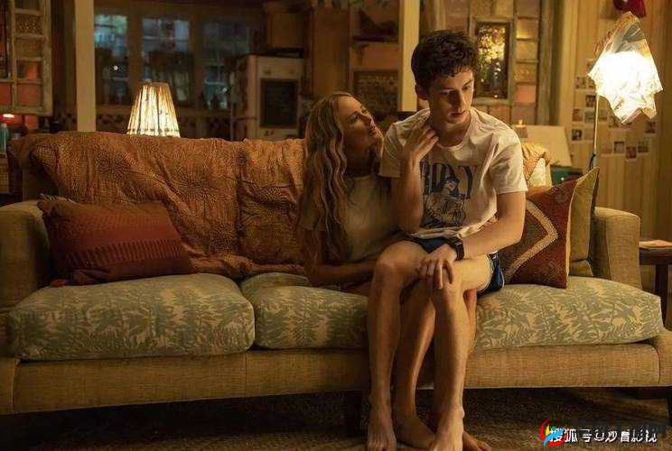 欧美 VPSWINDOWS 性另类之独特魅力探索