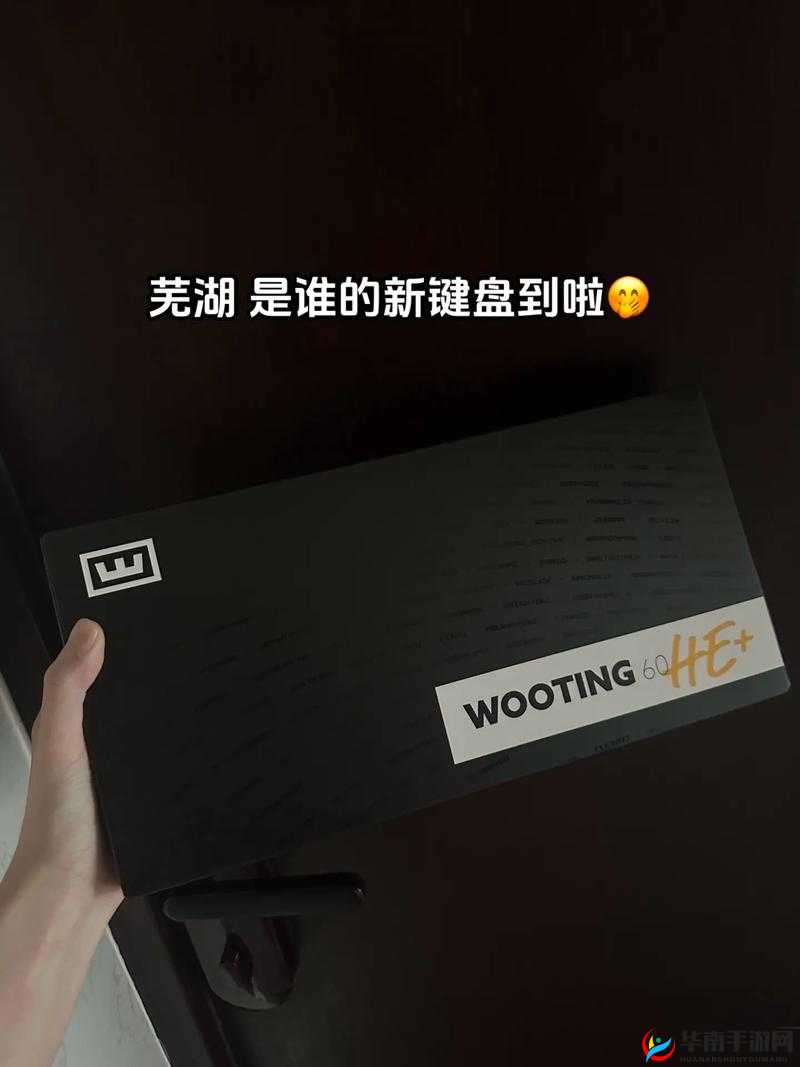 CSGO 暴躁少女免费看:精彩刺激不容错过