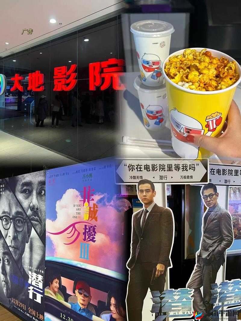 大地资源高清二在线观看：提供优质的观影体验