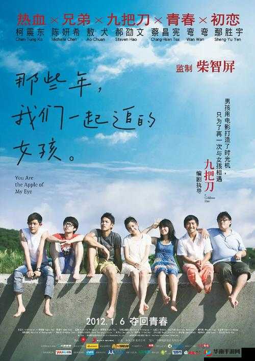 最好看的中文字幕国语电视剧：那些年我们一起追过的青春偶像剧