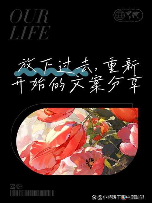 已满十八带好纸巾从此转人免费:开启全新未知的旅程