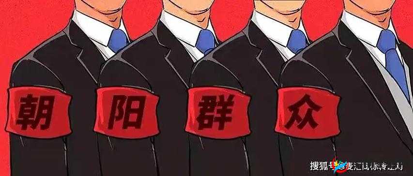 51cg5 朝阳群众：维护社会秩序与安全的重要力量