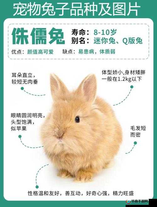 我的小兔兔被男生咬着的感觉：那是一种难以言喻的奇妙体验