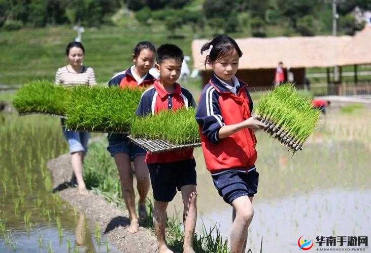 夫妻插秧一百种方法之独特趣味农耕体验