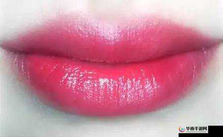 YSL 蜜桃色蜜桃成熟时的独特魅力与时尚演绎