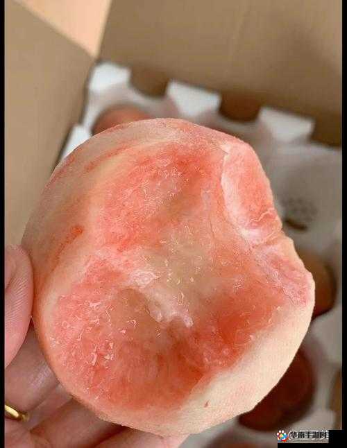 97ai 蜜桃图片:甜蜜多汁的水蜜桃,你不想尝一口吗?