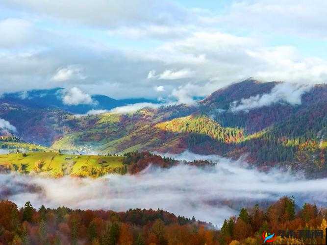 在最好的观看 2018 中文找到极致的内容-开启精彩视觉之旅