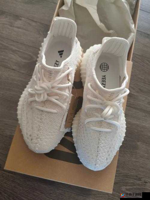 yeezy 蜜桃色和白色有何区别？这样区分就对了