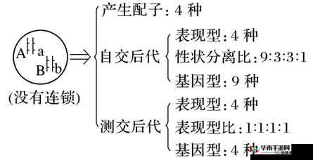 AABB 与 AAAA 的区别址竟然崩溃了：探寻背后深层次原因