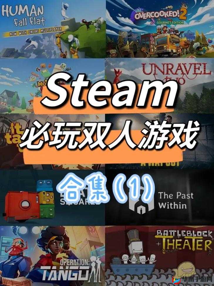 双人游戏大全：涵盖各类精彩双人互动玩法推荐