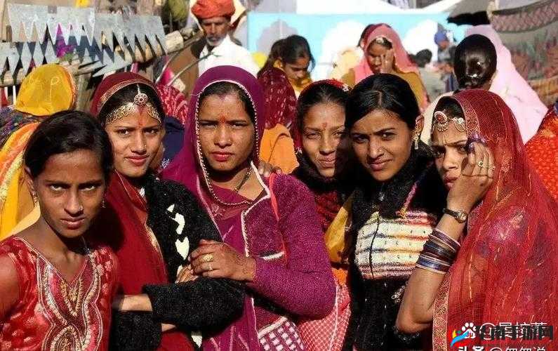 印度人又更又租现象引发的思考与探讨