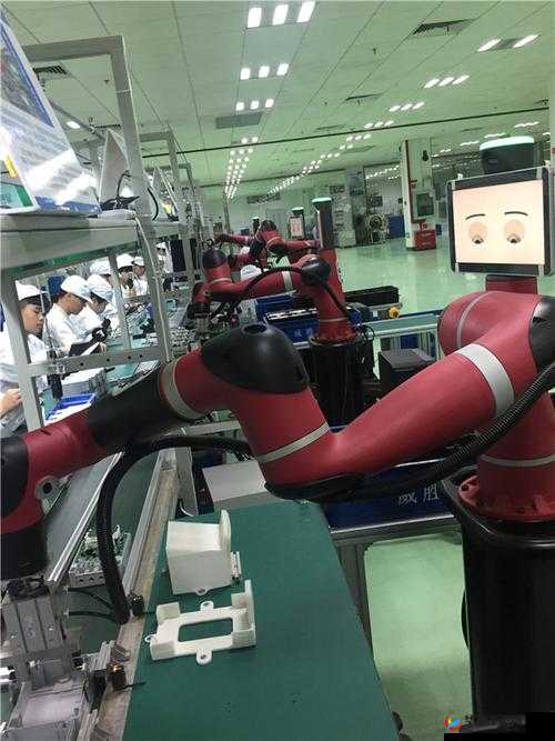 国产精品 A81：领略中国制造的魅力