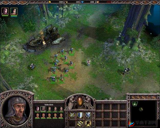 沙漠霸王花，弹弹堂手游中的绿色霸主