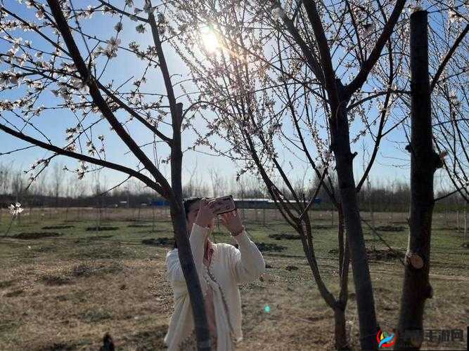 枯瘦娇小毛少之独特魅力展现：别样精彩 VIDEOS 等你来赏