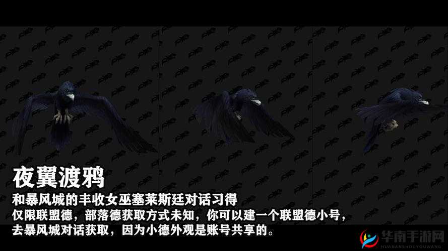 炉石传说安戈洛德鲁伊新思路，任务野兽德分享与资源管理艺术