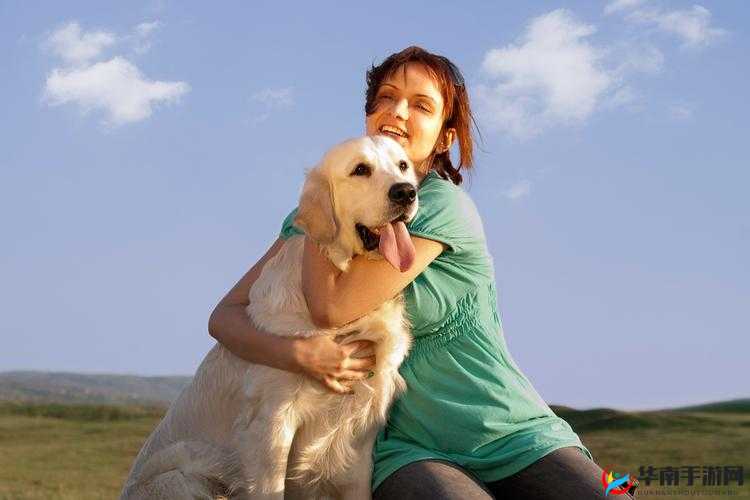 美国人与动物：探索两者之间鲜为人知的情感纽带