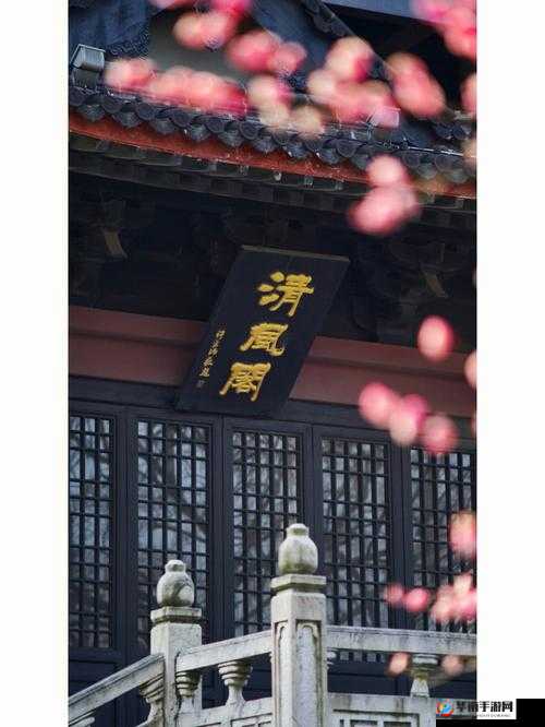 清风阁我爱干视频：一段充满激情的情感之旅