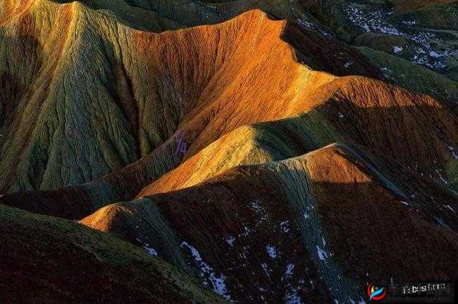 女性与动性ⅩXXXX免费：探索女性与运动的无限可能