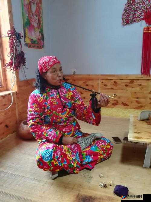 东北老太婆 AAAAA 极端性视频相关内容及探讨