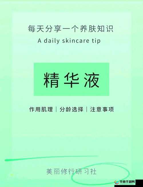 以精华液全身按摩为中心：让你焕发青春光彩的呵护之旅