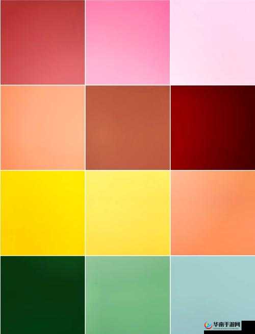 x 综合色网：探索色彩的无限可能