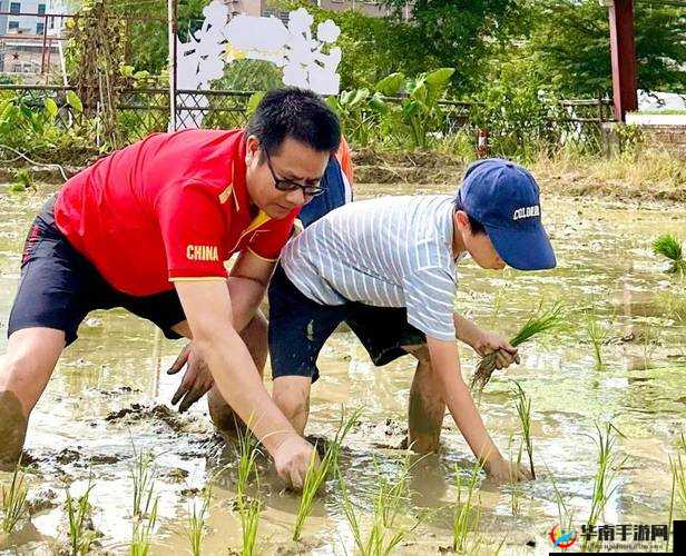 床上 100 种插秧方法:解锁新姿势,让你欲罢不能