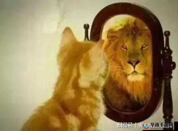 你看镜子里我们结合所引发的奇妙思考