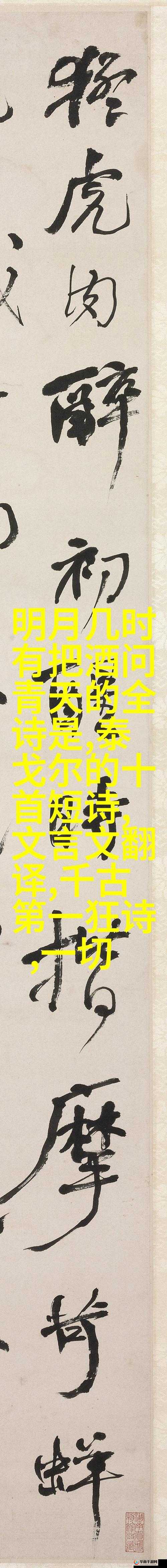 x7x7x7 任意噪 2028：探寻其背后的神秘与未知