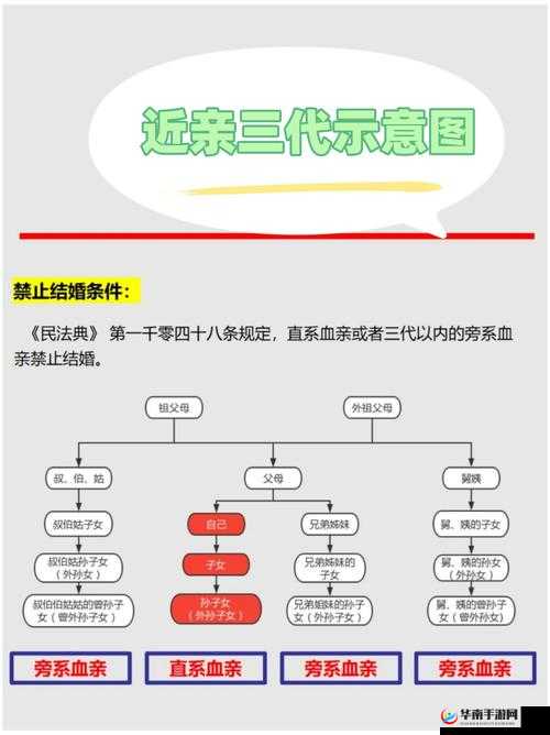 叔叔和侄儿媳妇的亲属关系怎么写-详细解析与探讨