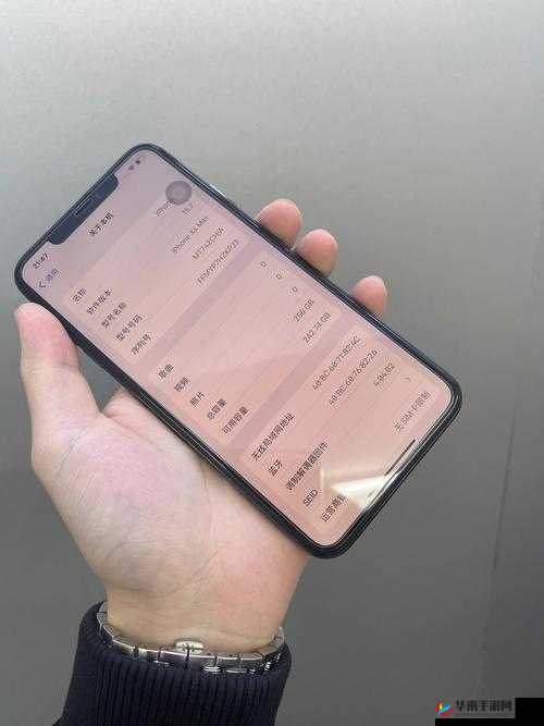 IPHONE XS MAX 日本:深度解析其在当地市场的独特魅力