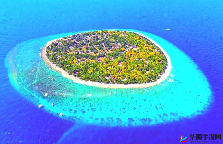 东南稀缺仙踪林探秘之旅:独特神秘之境等你来发现