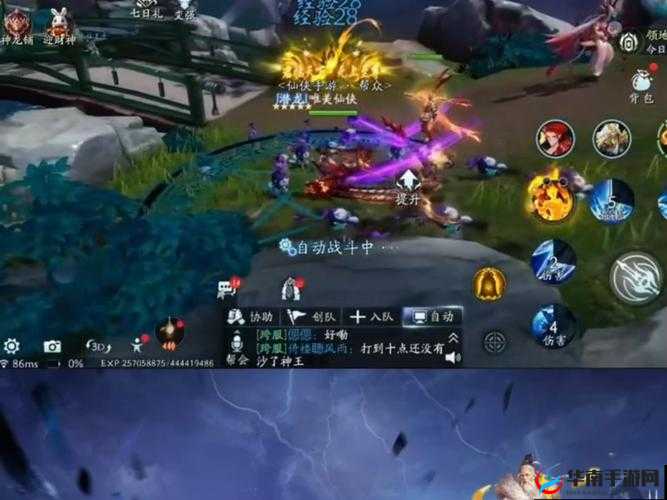 青云诀守护仙灵，解锁宠物战力提升的秘密