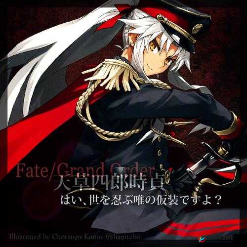 命运冠位指定FGO天草四郎战斗输出伤害测试点评在资源管理中的重要性及策略