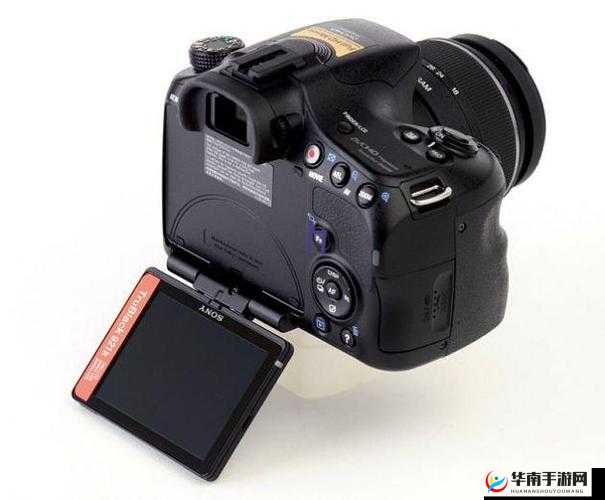 YW193.COC 龙物永不失联：这是一个神奇且独特的存在