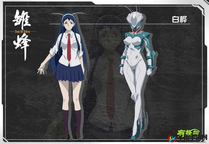 雏蜂之伊甸传说角色碎片获得方法介绍