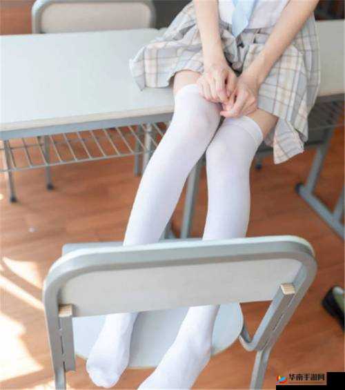 JK 白丝足交：独特魅力与极致体验的奇妙交织