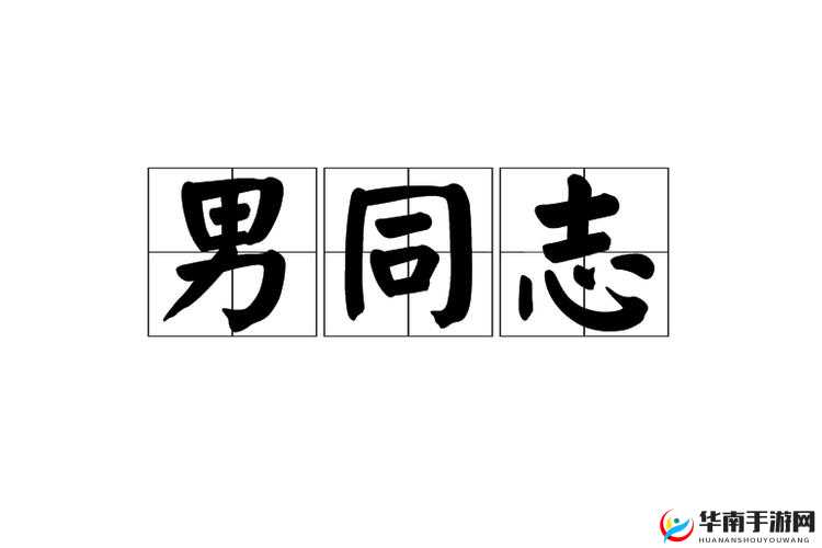 中国小男生 gay 男男网站相关内容及探讨