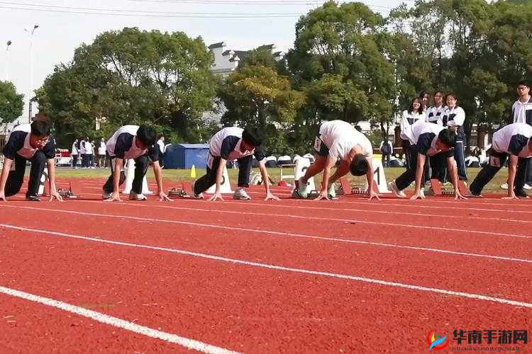 YN 荡校园运动会:青春飞扬,激情无限