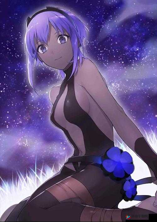 命运冠位指定FGO，静谧的哈桑满破素材获取途径的深度解析