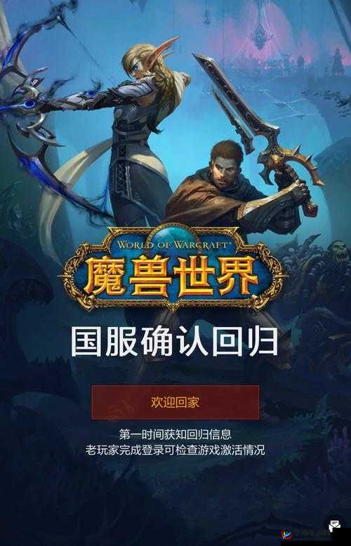 炉石传说，猎人竞技场策略深度剖析与新版本展望