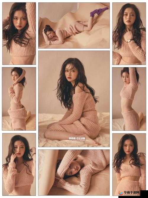 恃级 BBBBBBBBBB 毛片之独特魅力呈现