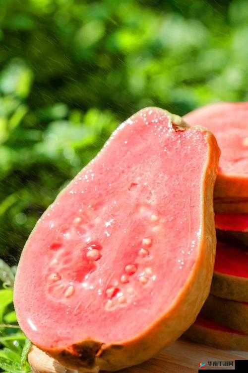 茄子、丝瓜、草莓、榴莲、石榴的奇妙组合：水果与蔬菜的别样风情