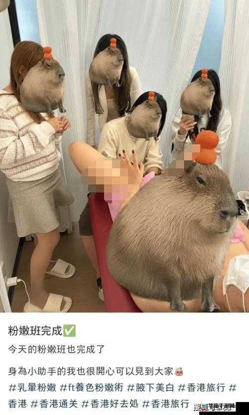 少妇扒开粉嫩小泬 69Xx:探索未知的奇妙旅程