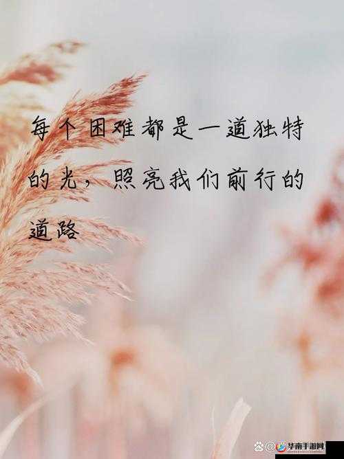 迷茫少年的探索之路：20 岁 Chinese 男同志免费 1 的成长故事